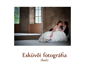 K�pf�nyez� esk�v�i fotogr�fia (flash)