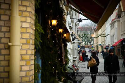 Göteborg, Haga