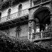 eva-jonathan-wedding-026